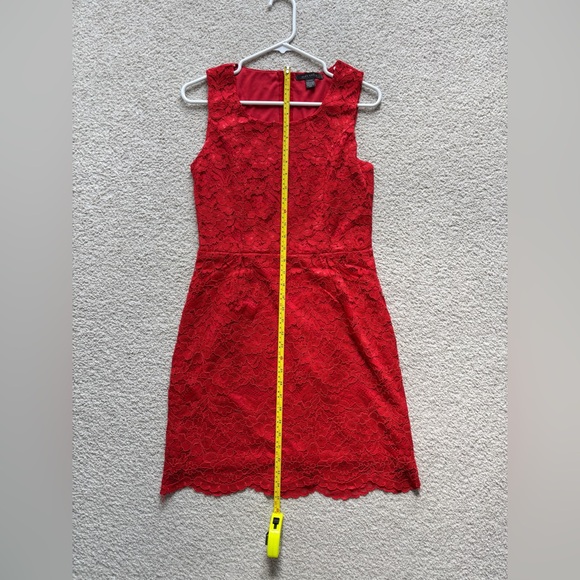 Suzy Shier Lace Dress - Picture 8 of 11